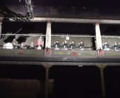 14_esz_alt_theater_07